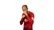 Red Bulls Fighting Sticker by Bundesliga
