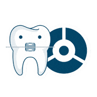 Software Orthodontist Sticker by Nemotec