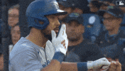 Blue Jays Celebration GIF by Toronto Blue Jays