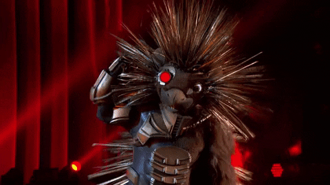 Ken Jeong Porcupine GIF by The Masked Singer