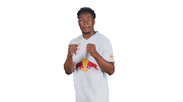 Football Sport Sticker by FC Red Bull Salzburg