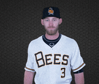 SaltLakeBees drink baseball pop soda GIF
