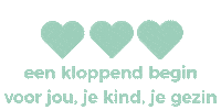 Zwangerschap Emmeloord Sticker by Hartendief