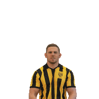 Goal Bern Sticker by Remo Käser