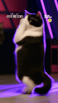 틴더스 GIF