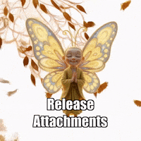 Buddhafly Character GIF by BuddhaFlyJourney