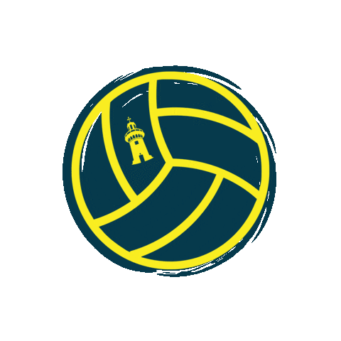 Volleyball Portenos Sticker by Club Atlético Porteño