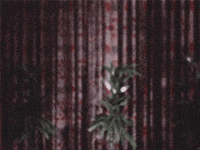 Video gif. A vintage shot of an empty drawing room and a man pokes his head in the frame from the side. He gives us a confused look, as if questioning who we are, shakes his head and pulls away.