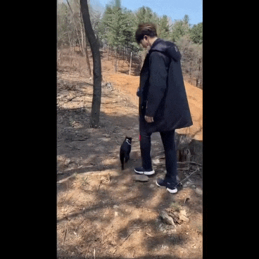 skagk giphyupload GIF
