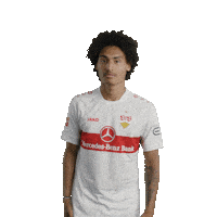 Football Sport Sticker by VfB Stuttgart