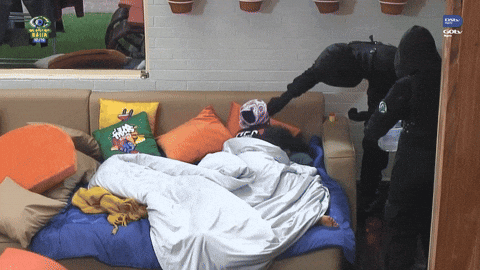Bbnaija GIF by Big Brother Naija