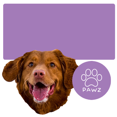 Dog Sticker by Pawz