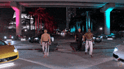 karatecombat sports sport mma punch GIF