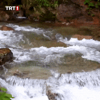 Fresh Air Water GIF by TRT
