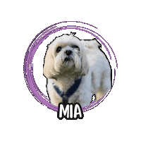 Shih Tzu Mia Sticker by Asilo per cani Dog'sMind