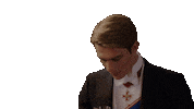 Nicholas Galitzine Prime Video Sticker by Red, White & Royal Blue