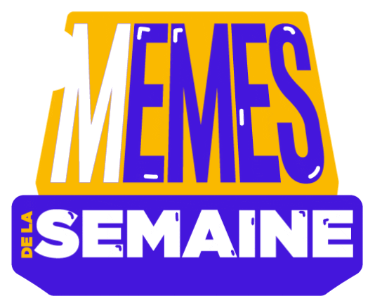 Memes De La Semaine GIF by Topito