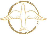 Antti Tuisku Symbol Sticker by Warner Music Finland