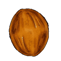 den bosch festival Sticker by Paradijs van het Zuiden