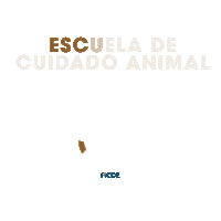 Gatos Escuela Sticker by Ficde