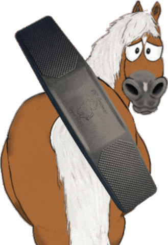 Pony Pferdepflege Sticker by Glamour by Reitsport SIBO