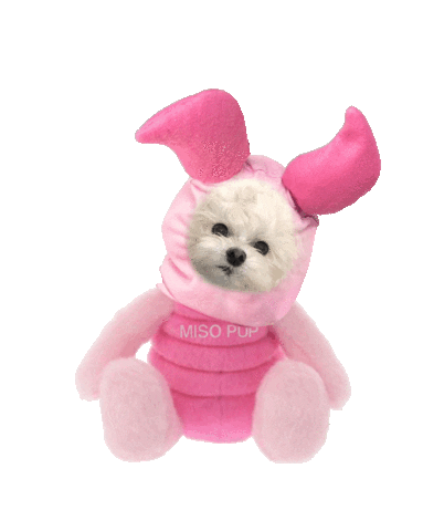 dog pig Sticker by MISO PUP