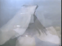 zhao ya zhi dance GIF