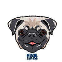 dog fiesta Sticker by Jose Cuervo