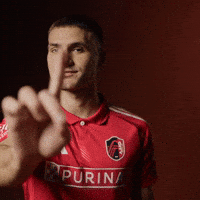 Stlcitysc GIF by St. Louis CITY SC