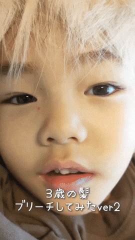 cuteanimalland giphyupload GIF