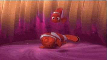 Finding Nemo Morning GIF by Disney Pixar