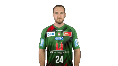Handball-Bundesliga Time Sticker by LIQUI MOLY HBL