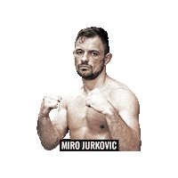 Mixed Martial Arts Mma Sticker by BRAVE Combat Federation