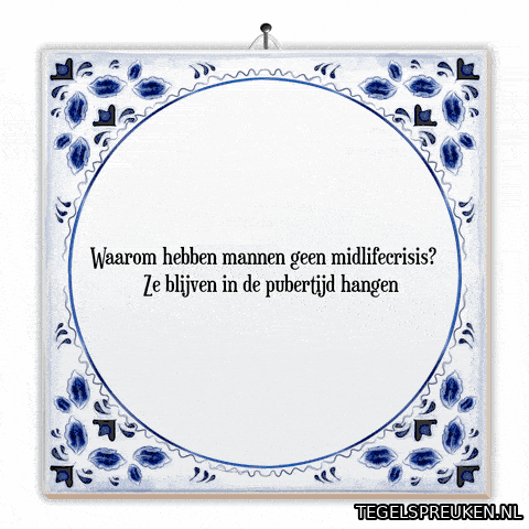 Humor Nl GIF by Tegelspreuken.nl