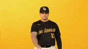 Cal State La Sport GIF by Cal State LA Golden Eagles