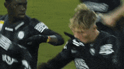 Celebration Tor GIF by SK Sturm Graz