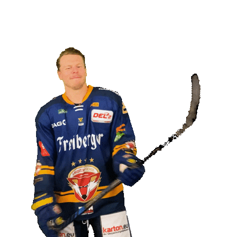 Happy Sport Sticker by Lausitzer Füchse