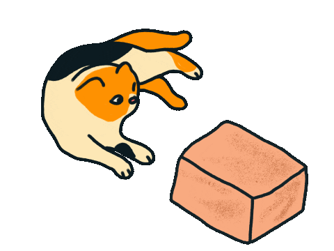 Cat Jump Sticker