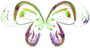 Butterfly Sticker