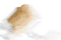 Art Glitch GIF by xopaly