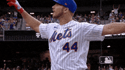 Excited Ny Mets GIF by New York Mets