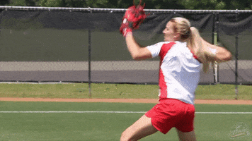 fastpitch courtney ceo GIF by USSSA Pride