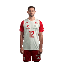 Pzps Sticker by Polska Siatkowka