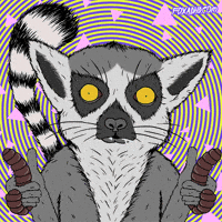 Animation Domination Fox GIF by gifnews