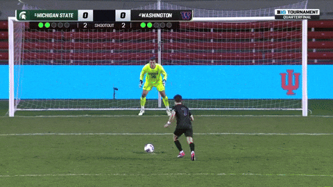 GIF by Washington Athletics