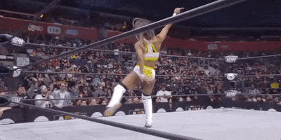 Aew On Tnt Wrestling Match GIF by All Elite Wrestling on TNT