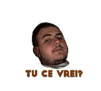 franco francoakagrass Sticker by FaraOana