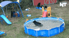 breaking news GIF by NowThis 