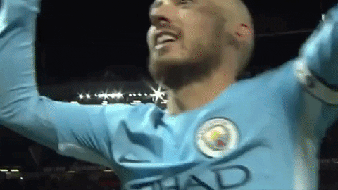 mcfc GIF by Manchester City