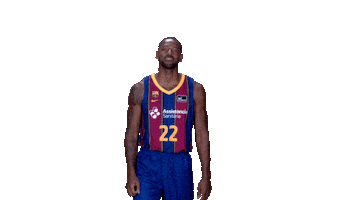 Fc Barcelona Basketball Sticker by ACB